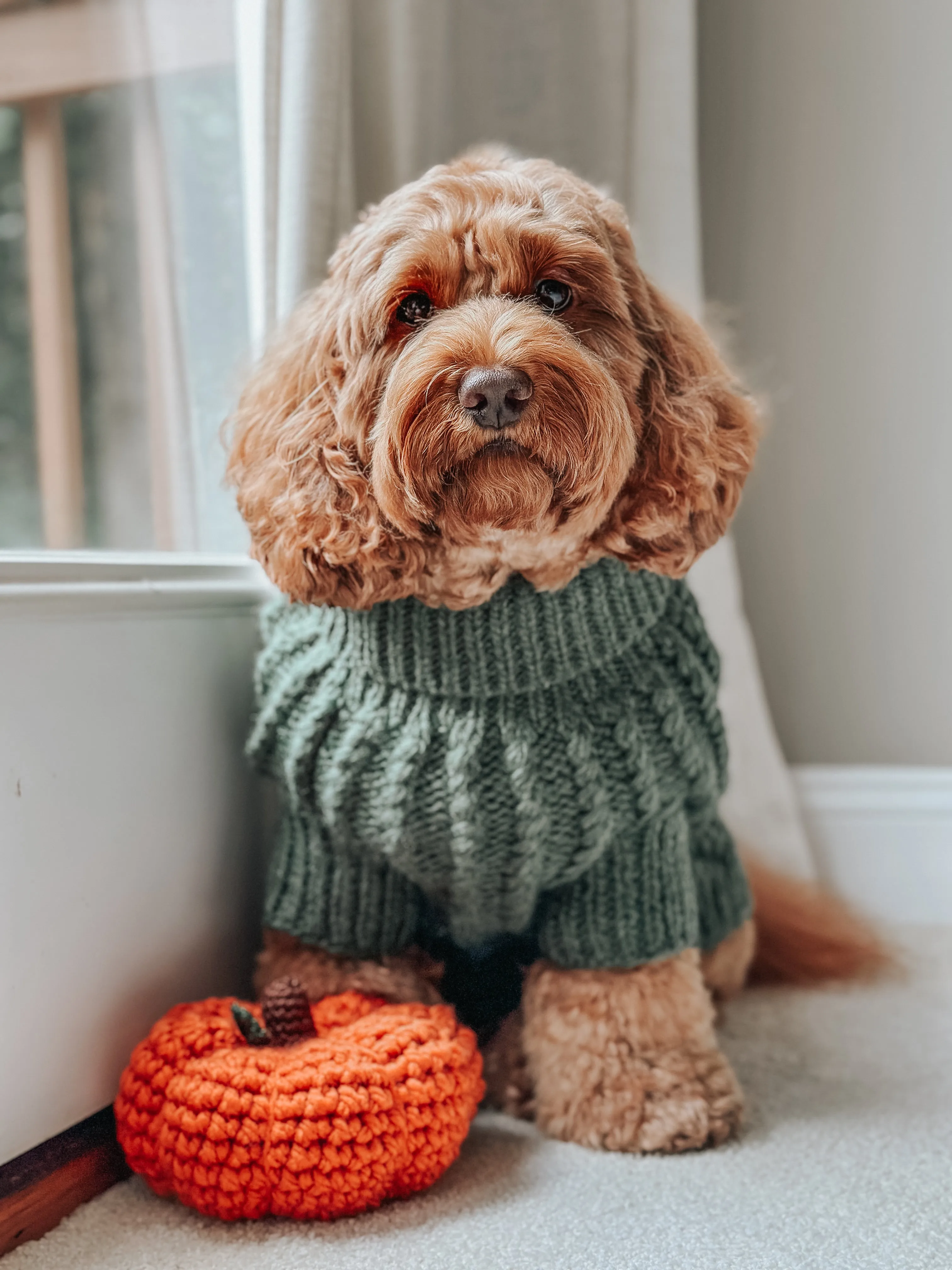 Dog Cable Knit Sweater - Dark Green