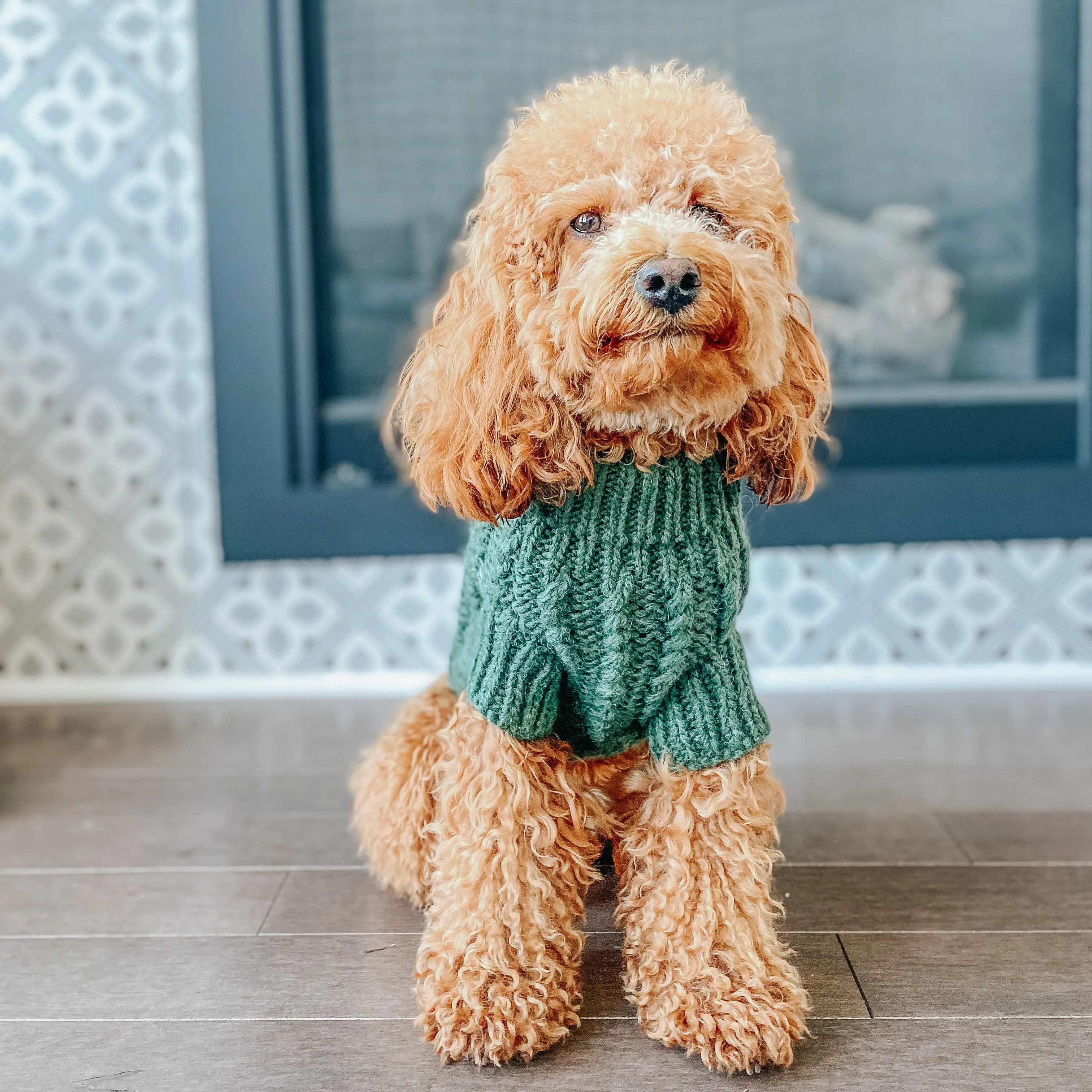 Dog Cable Knit Sweater - Dark Green