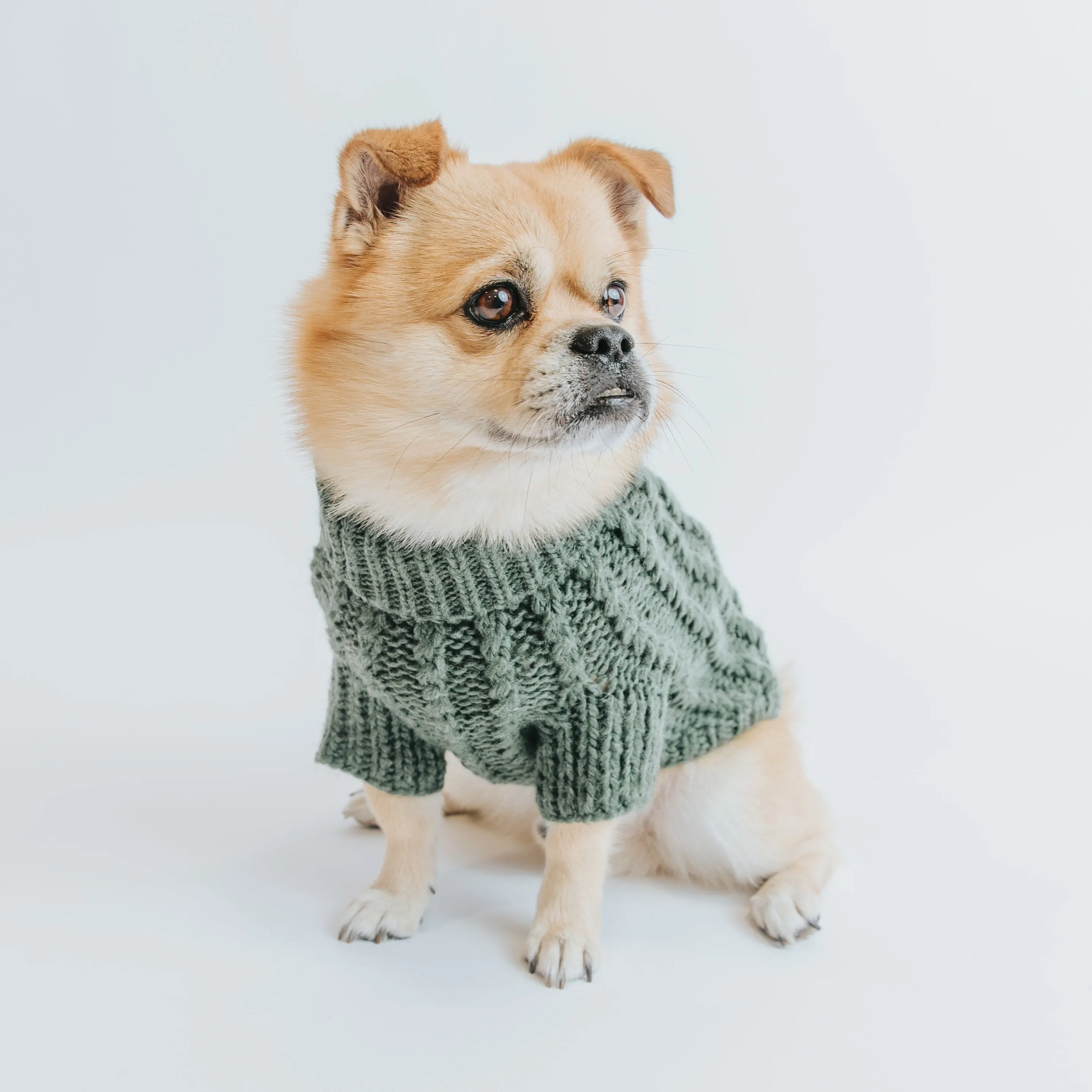 Dog Cable Knit Sweater - Dark Green