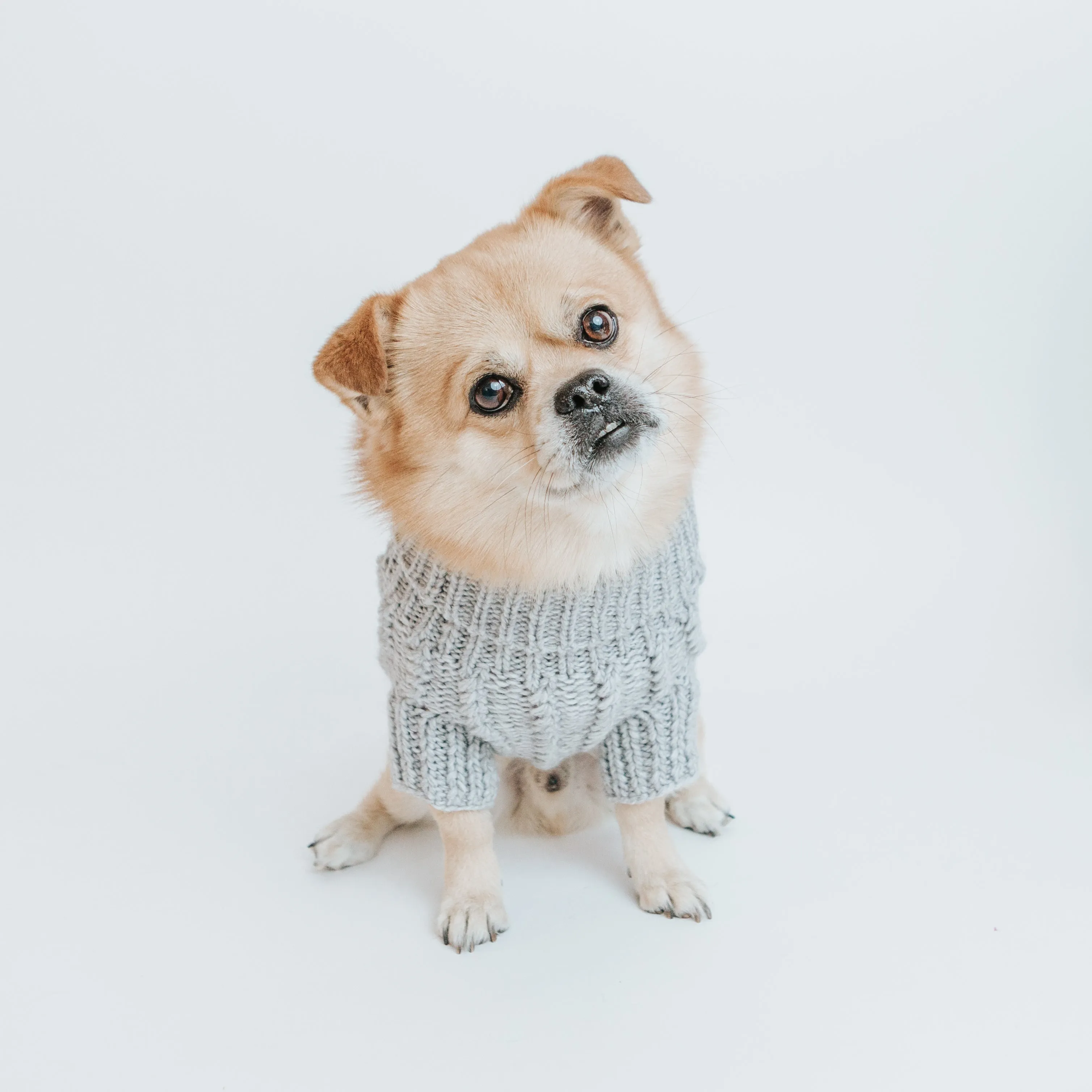 Dog Cable Knit Sweater - Gray