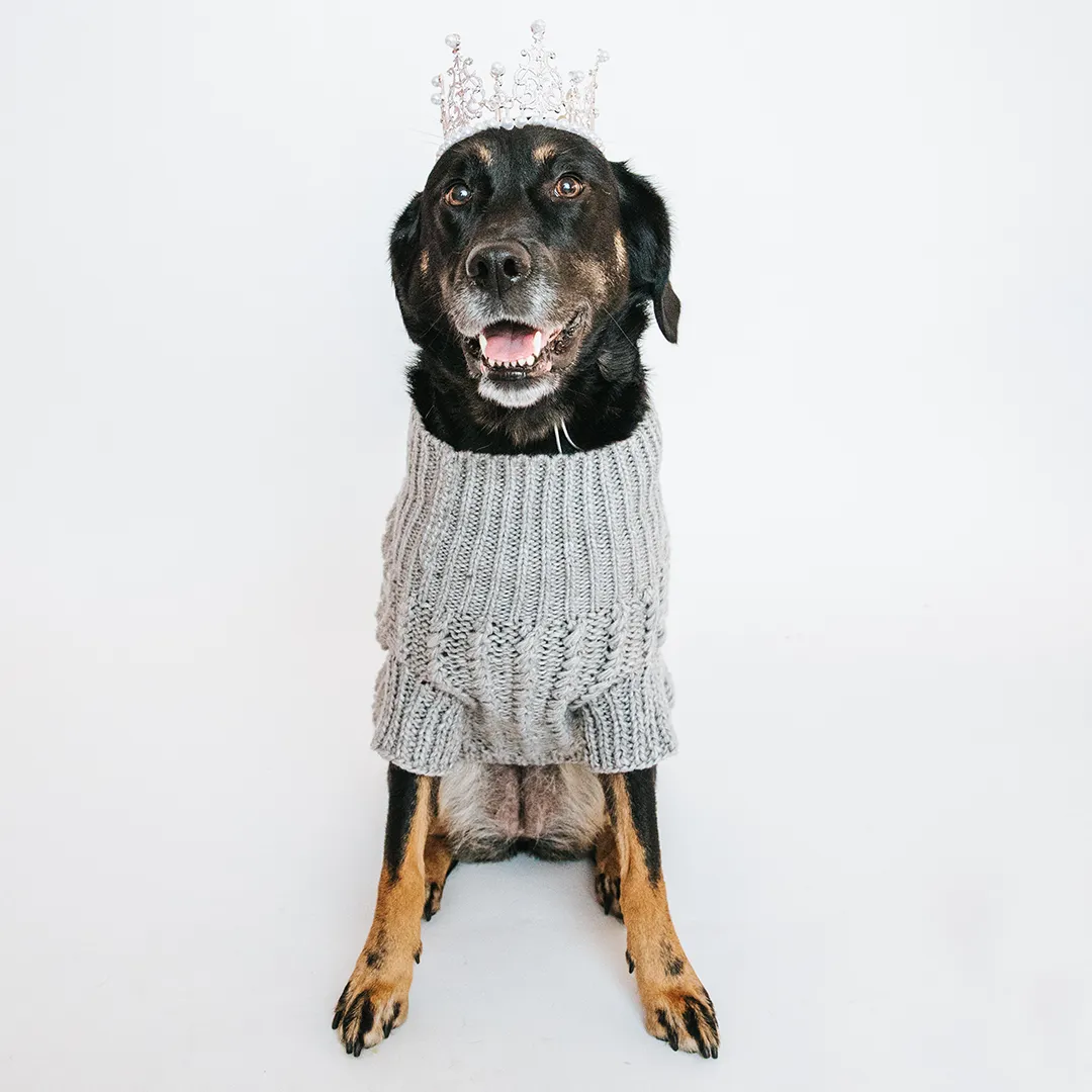 Dog Cable Knit Sweater - Gray