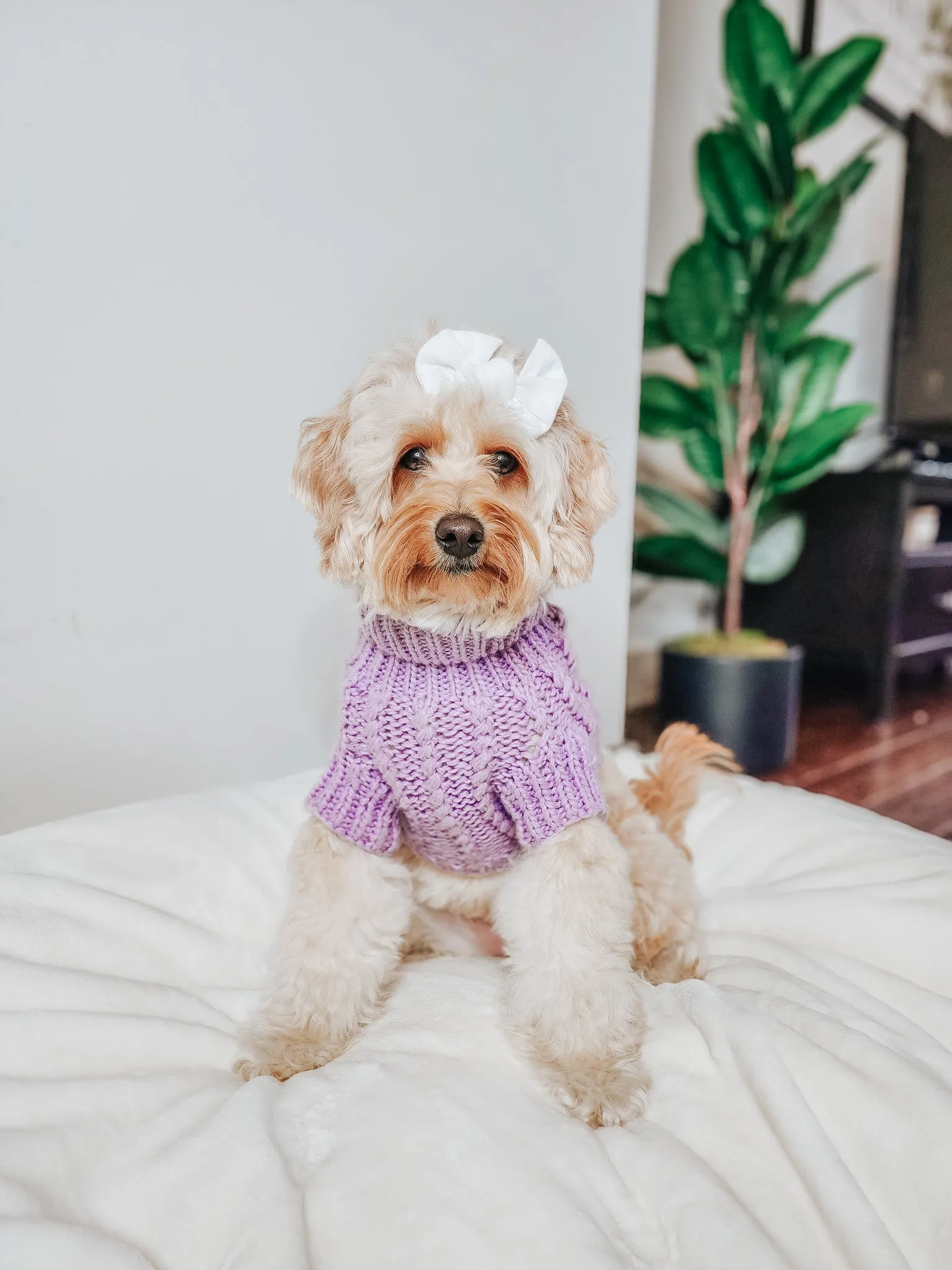 Dog Cable Knit Sweater - Lavender