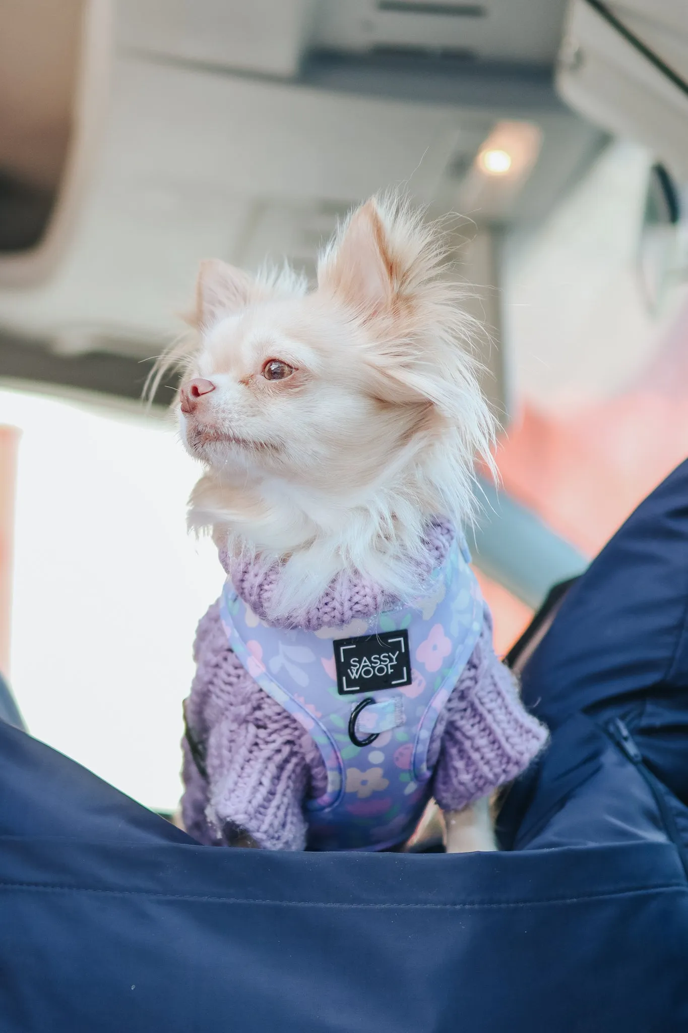 Dog Cable Knit Sweater - Lavender