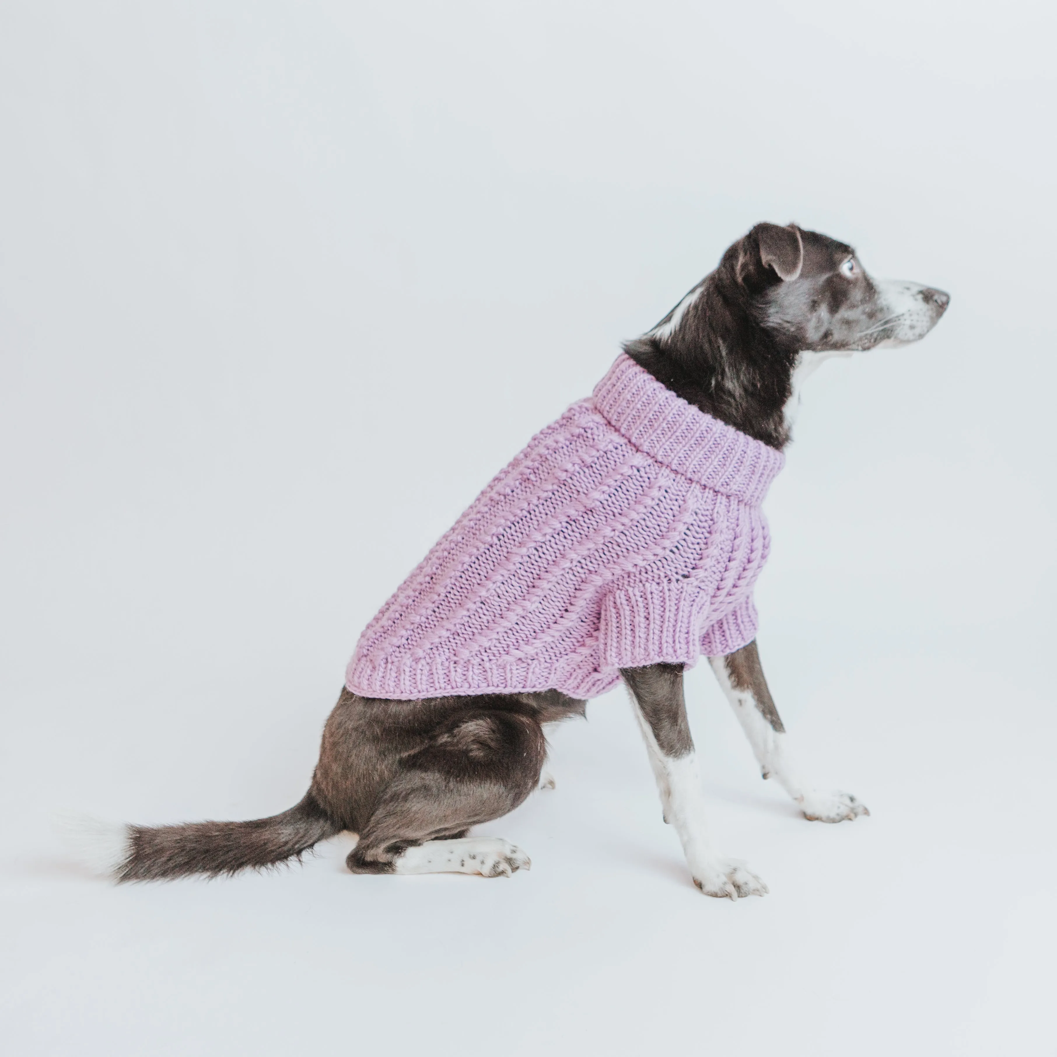 Dog Cable Knit Sweater - Lavender