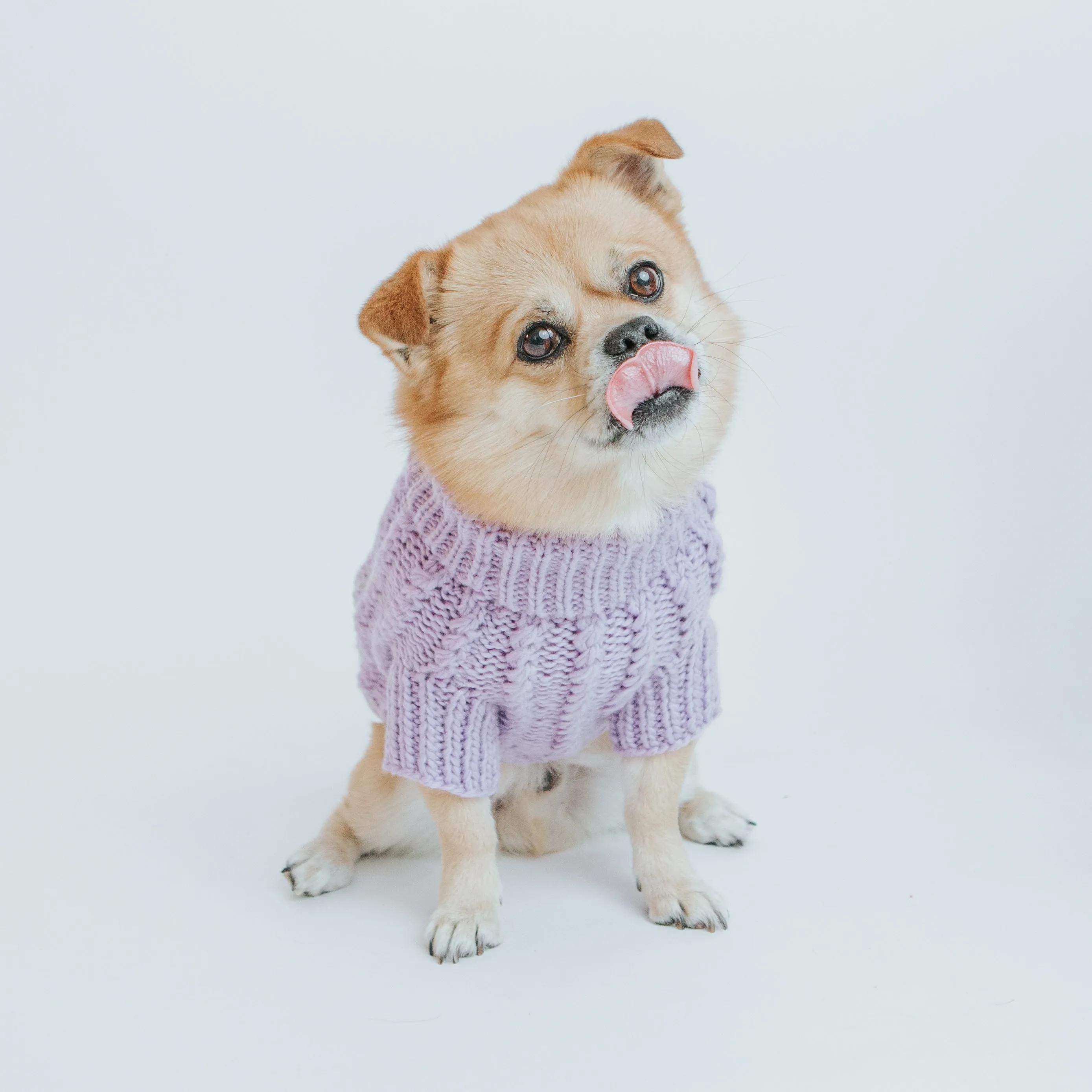 Dog Cable Knit Sweater - Lavender