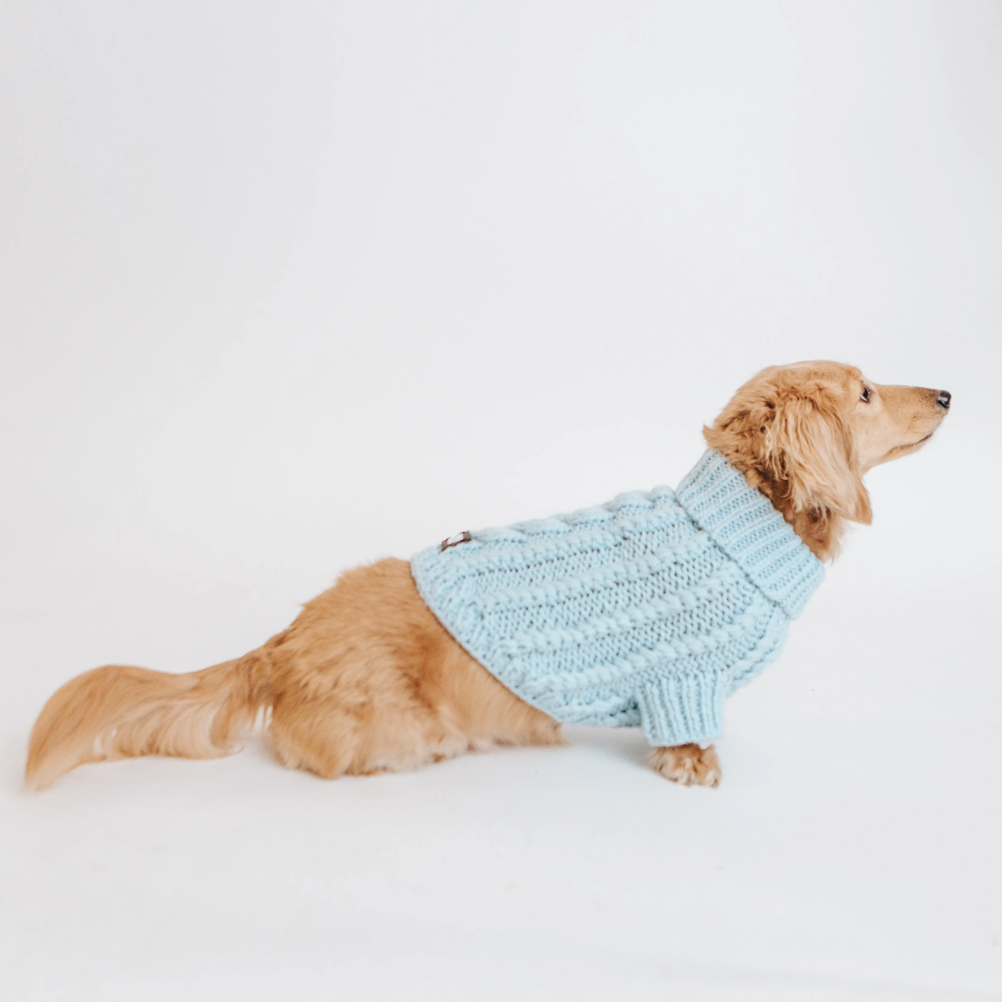 Dog Cable Knit Sweater - Light Blue