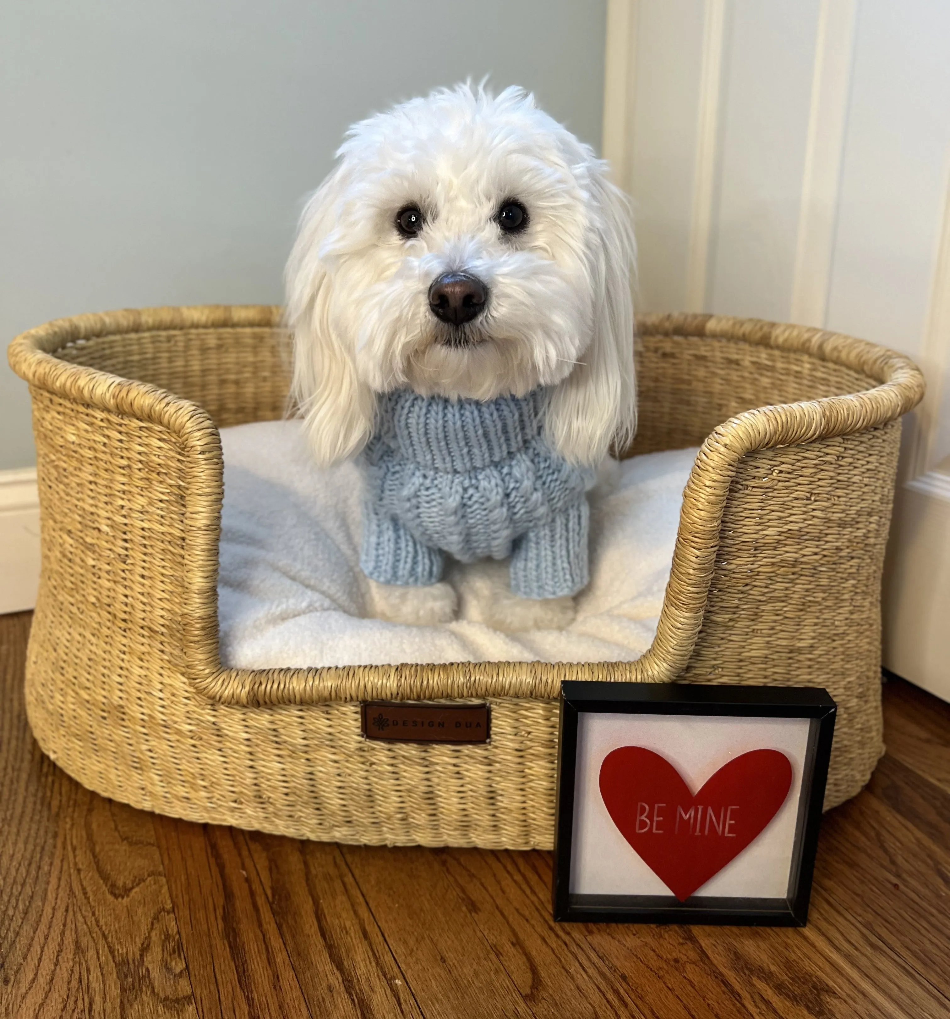 Dog Cable Knit Sweater - Light Blue