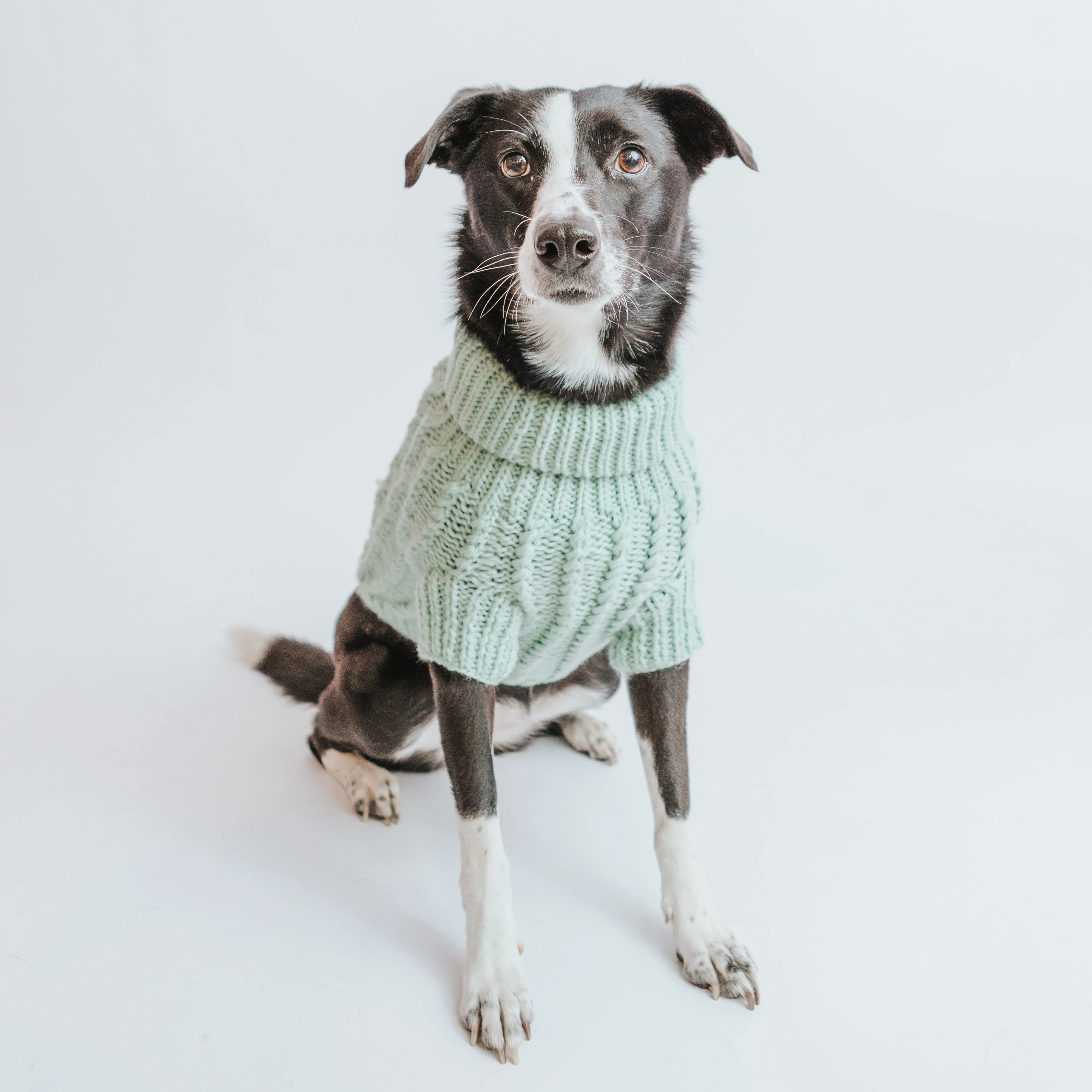 Dog Cable Knit Sweater - Mint