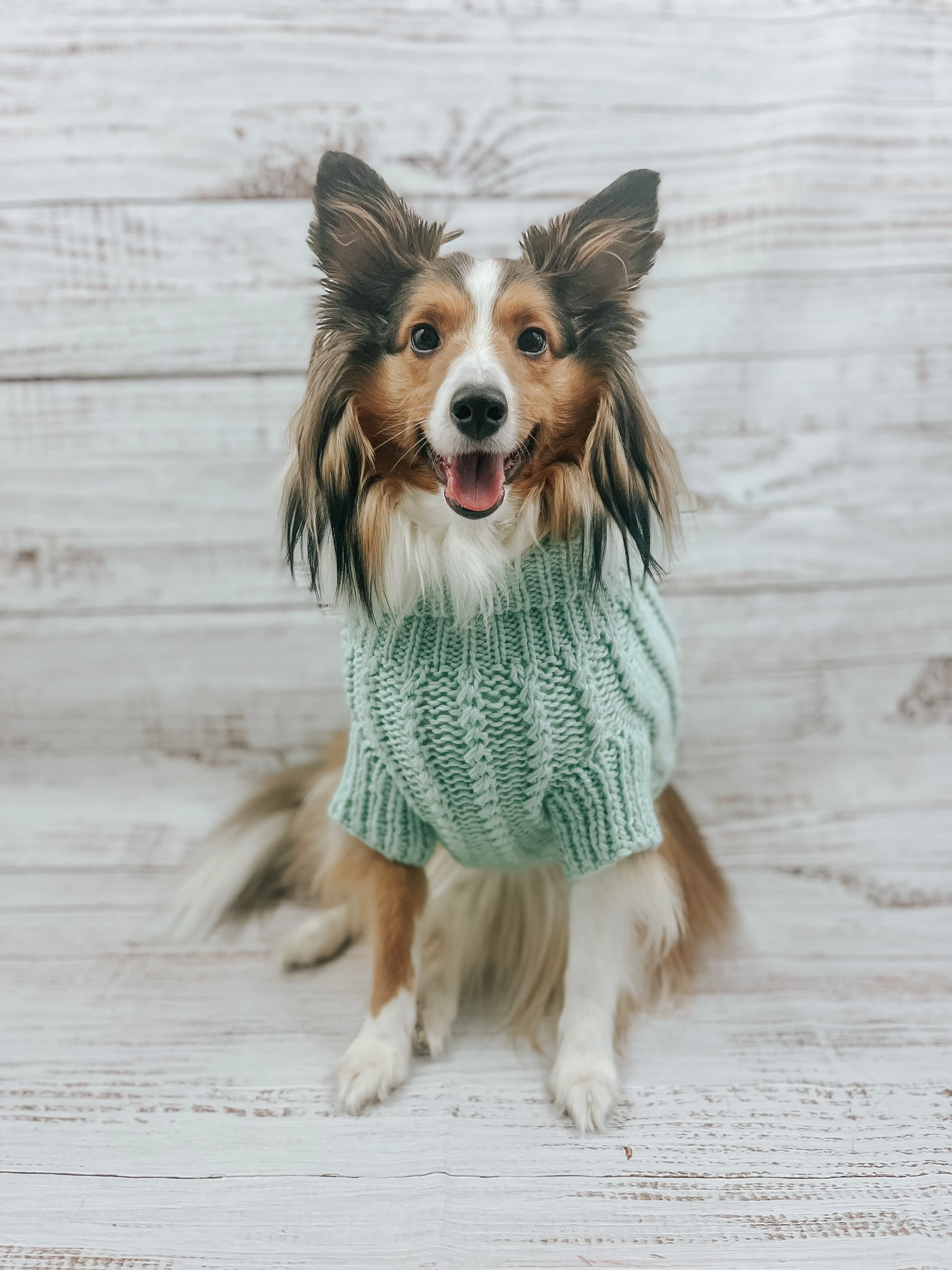 Dog Cable Knit Sweater - Mint