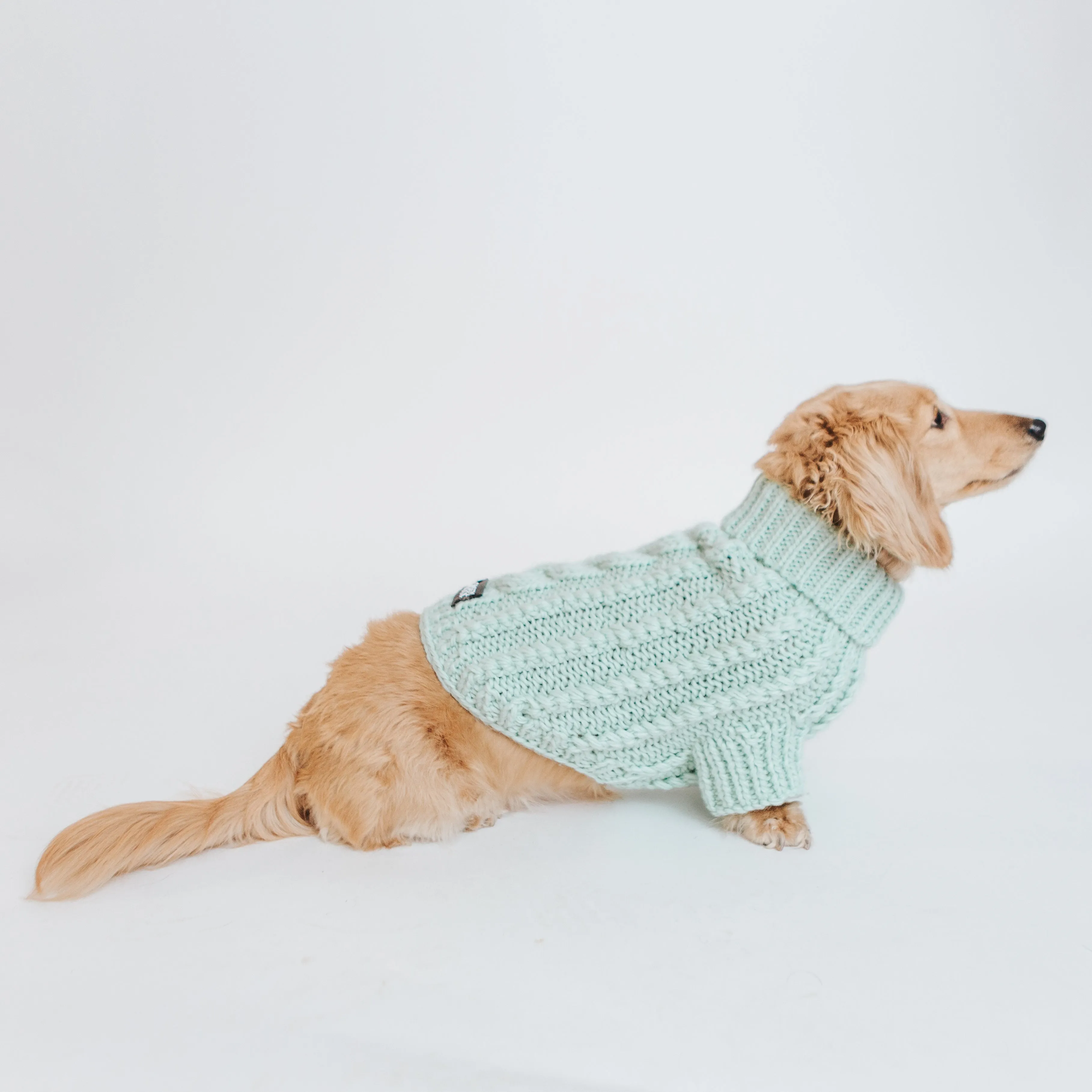 Dog Cable Knit Sweater - Mint