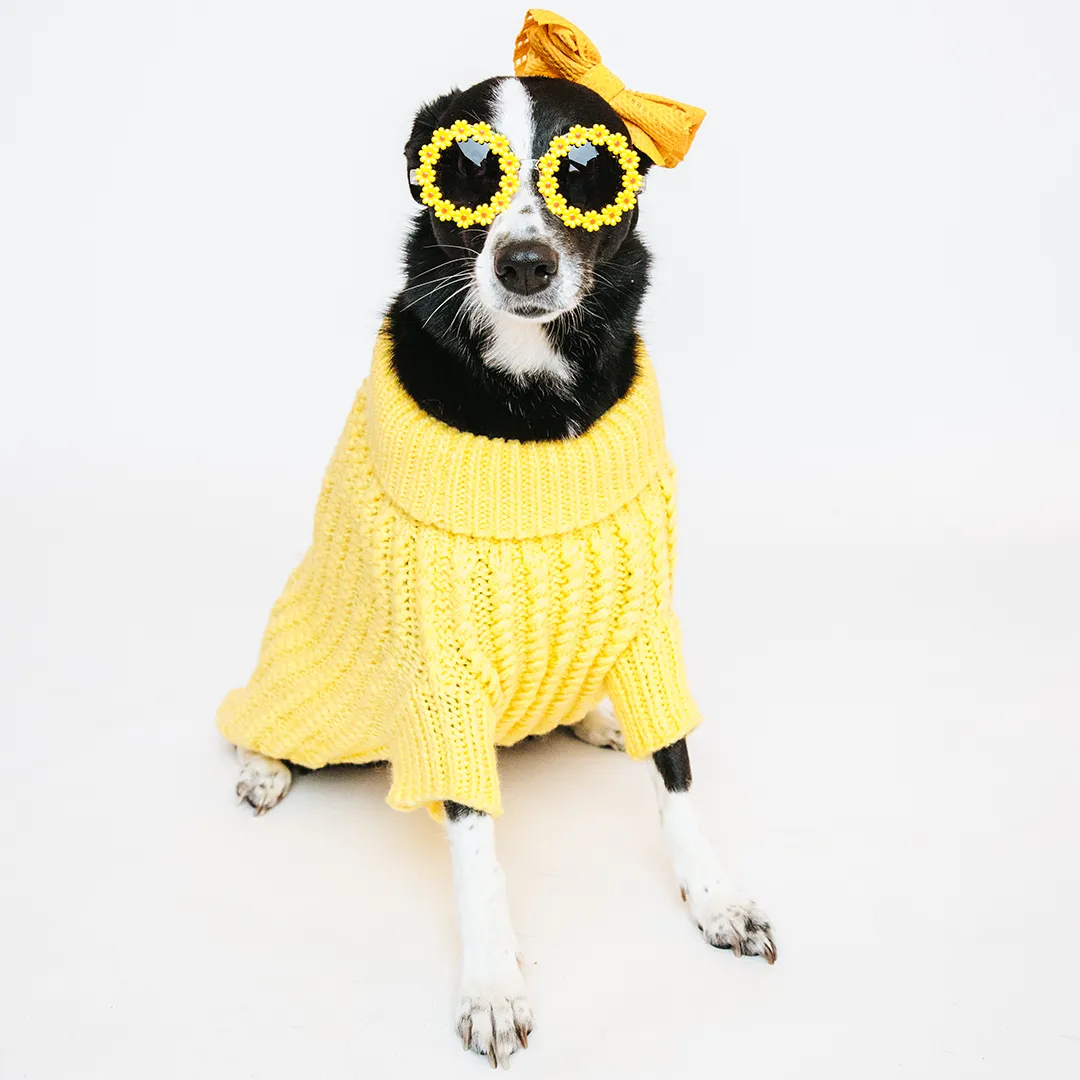 Dog Cable Knit Sweater - Yellow