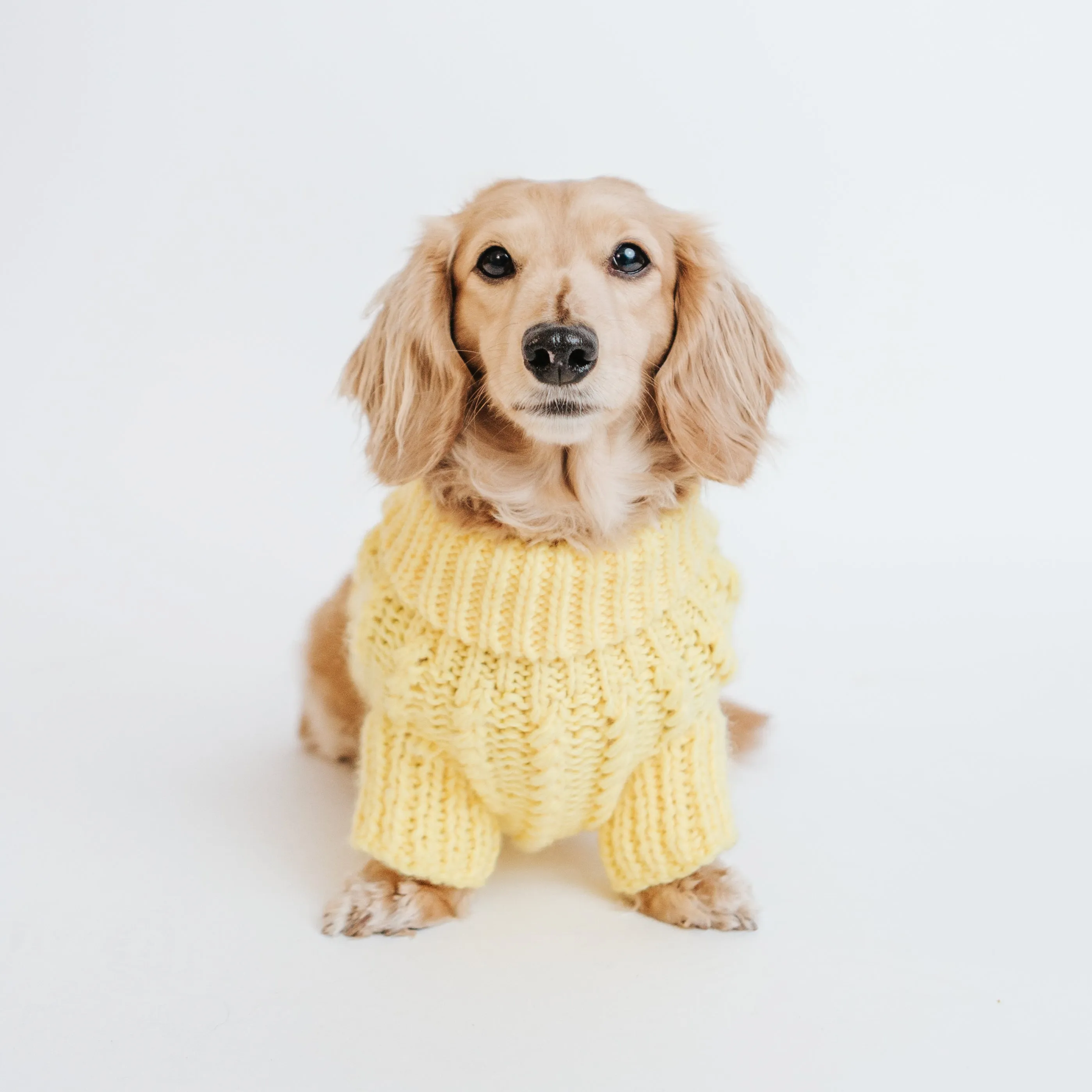 Dog Cable Knit Sweater - Yellow