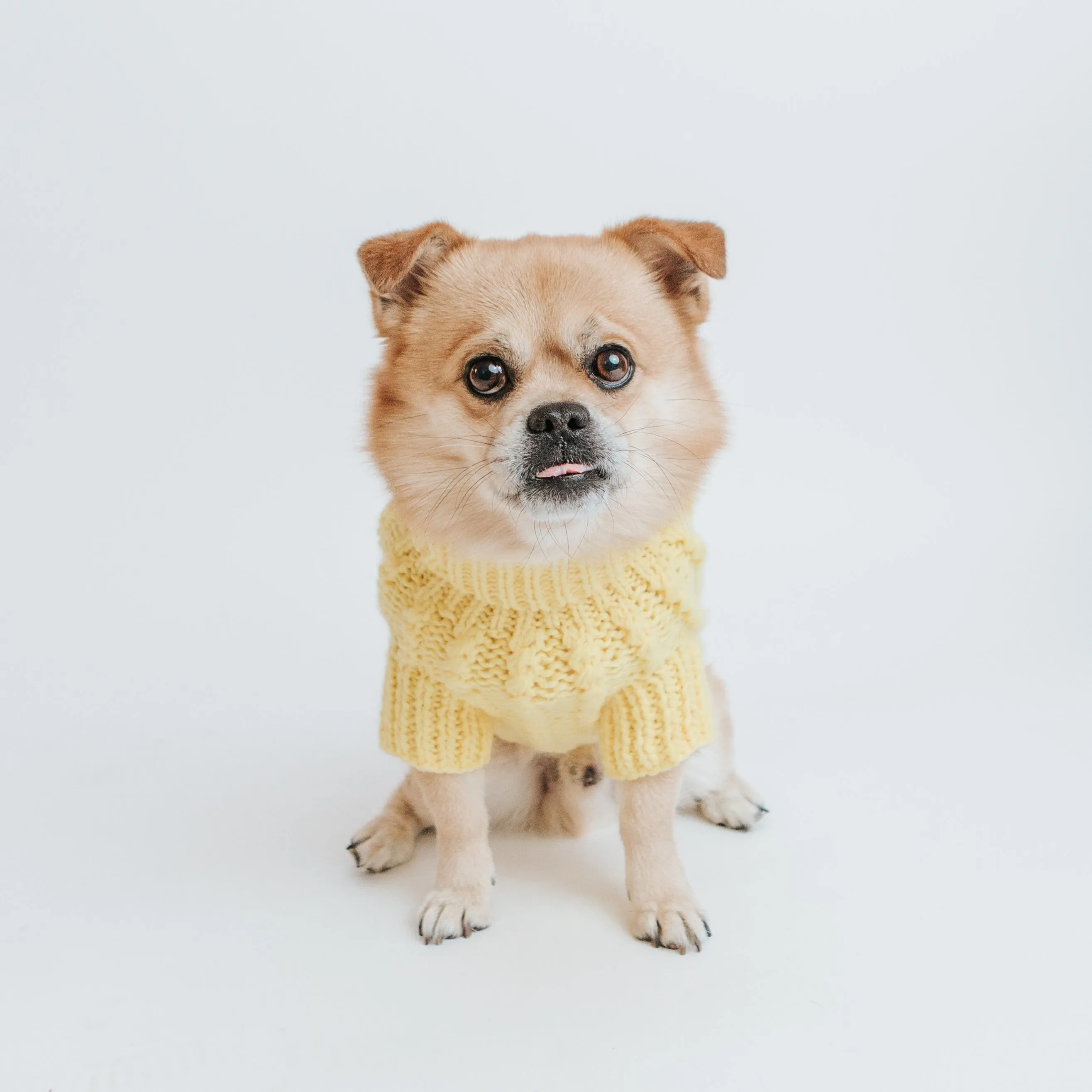 Dog Cable Knit Sweater - Yellow