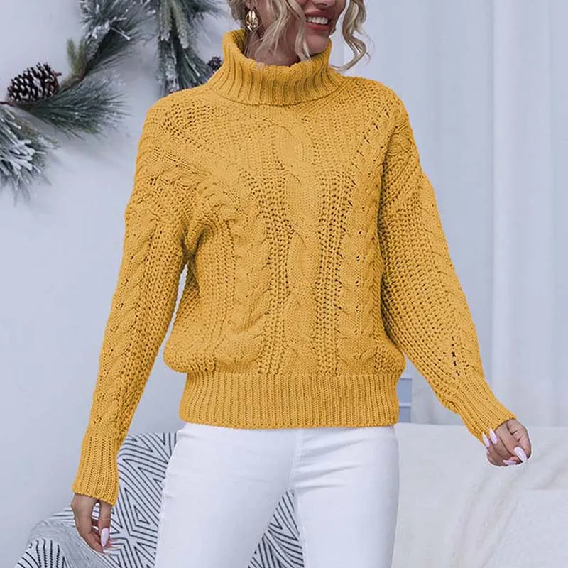 Estelle Chunky Knit Women's Turtleneck Sweater