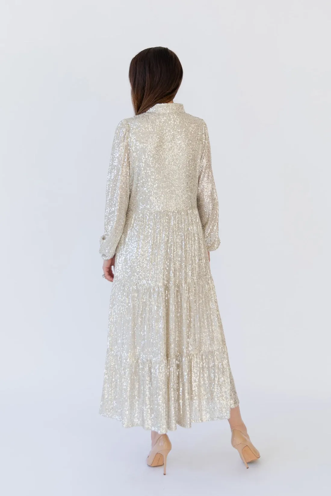 Sail To Sable Anne Sequin Maxi - Silver